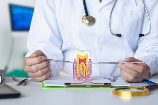 Best Broken or Cracked Tooth Emergency Dentist in Shadeland, IN